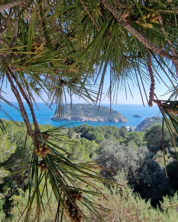 Apartmán Arenal Jávea Exteriér fotografie